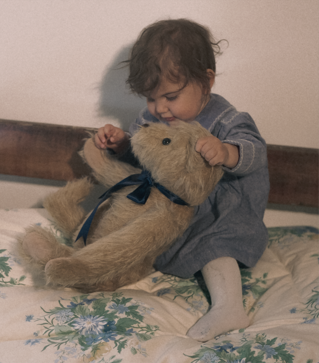 The Teddy Bear