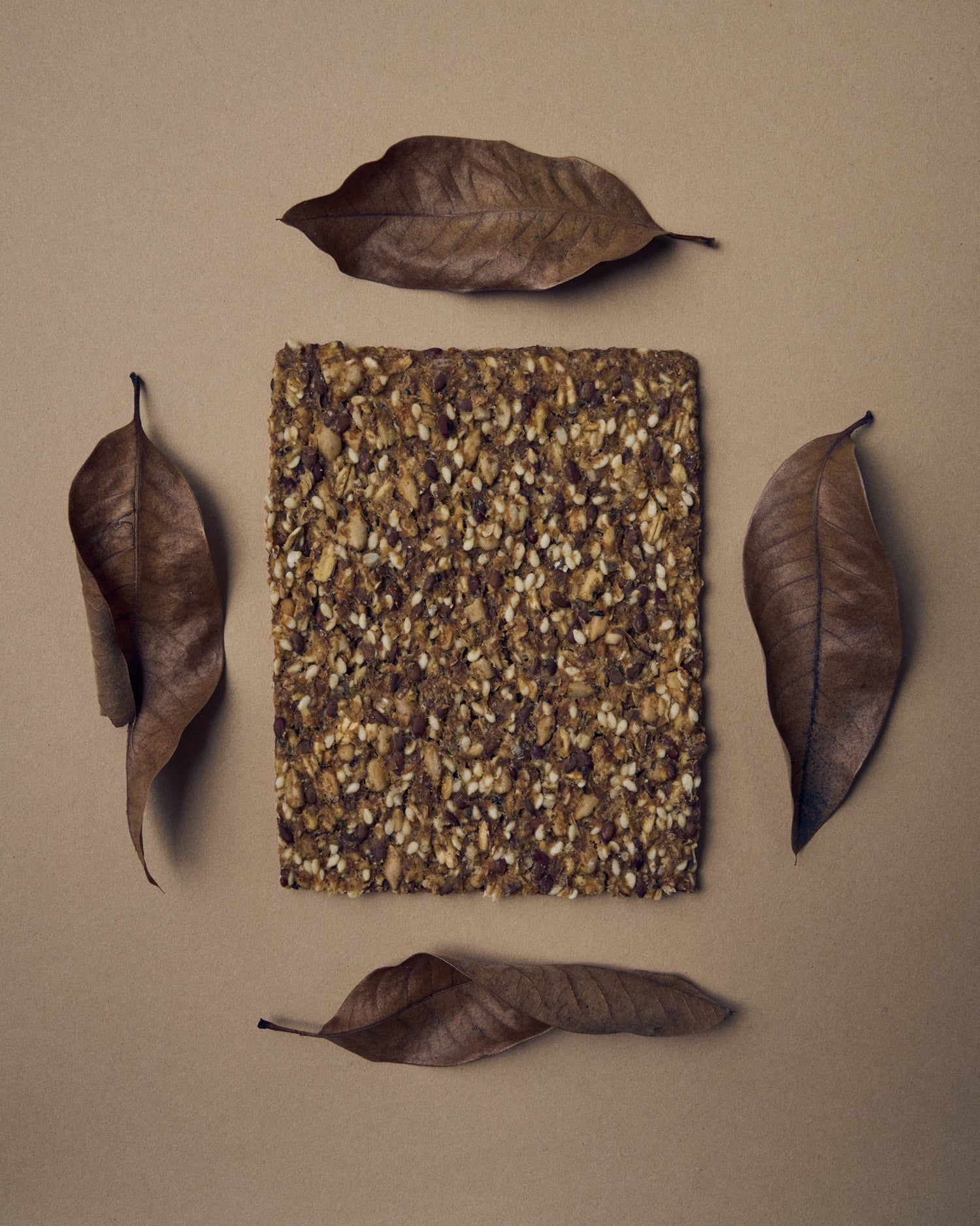 OST FALL FAVORITES