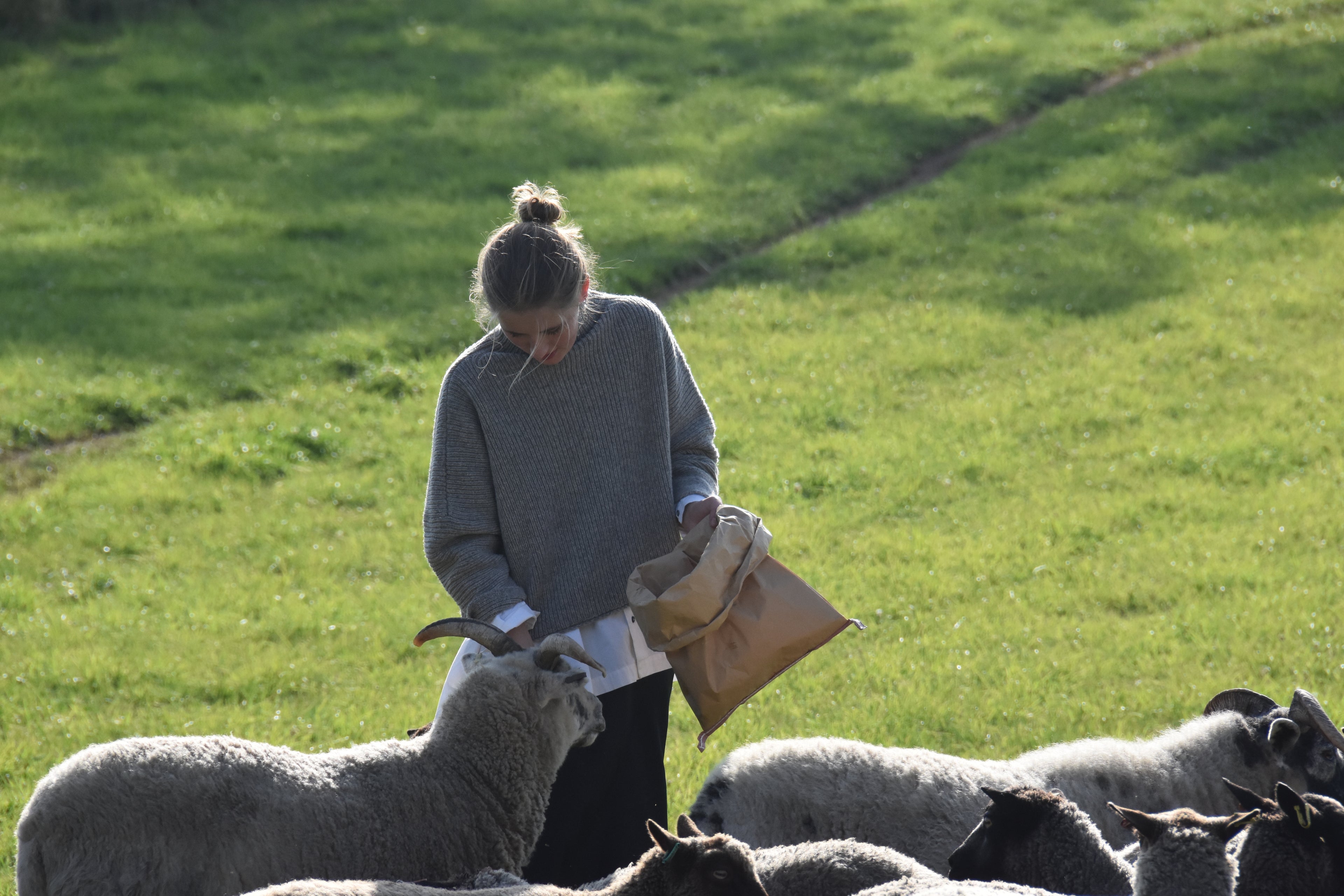 The Bonnytoun Jumper