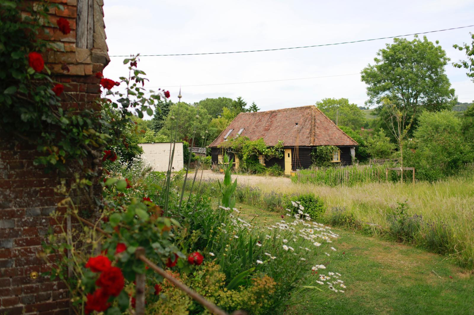 A house with a red roof surrounded by  green grass sits in the background, while red roses climb an obscured brick wall in the foreground.