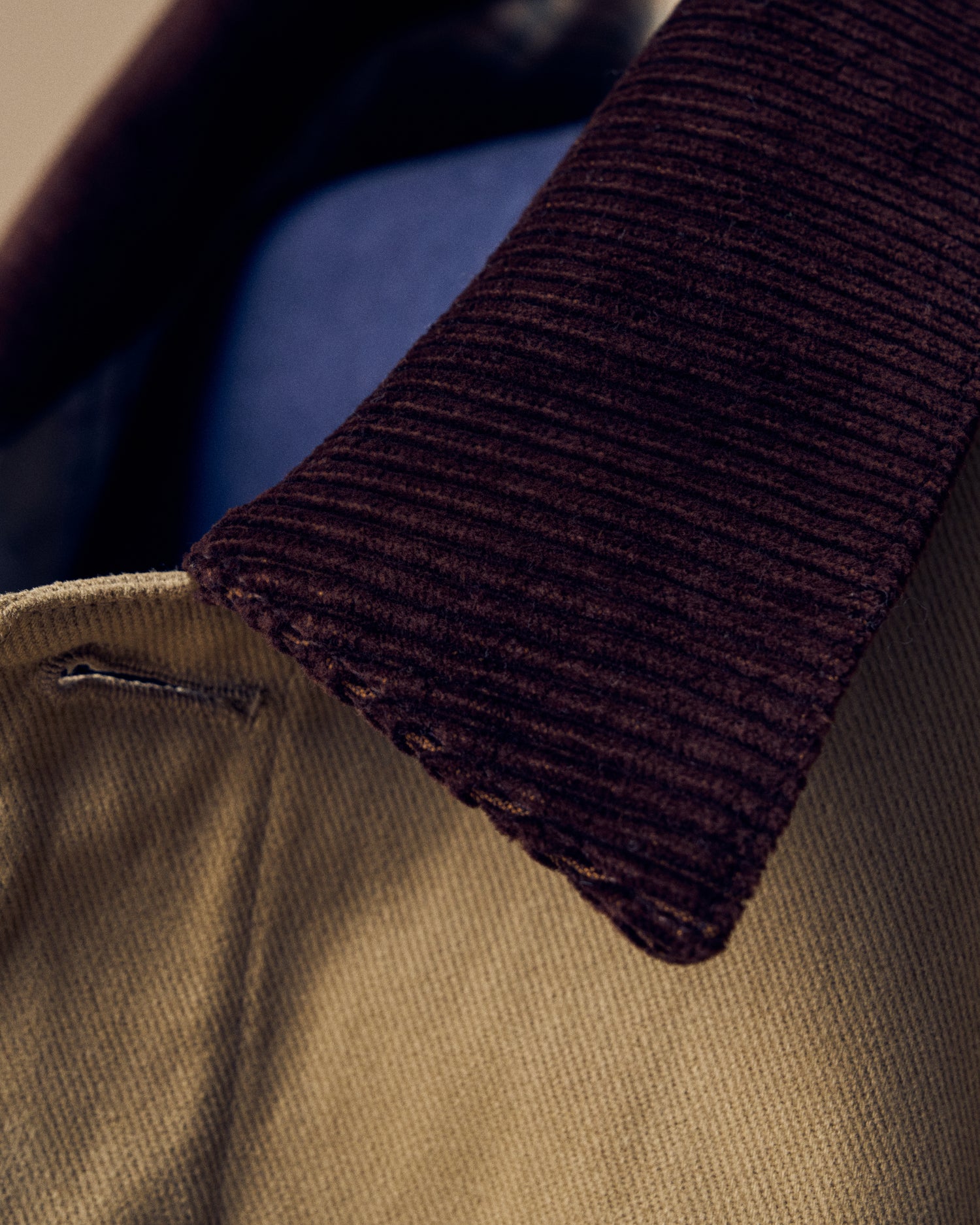 Close up image of a corduroy collar.