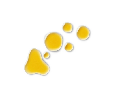 The Oil